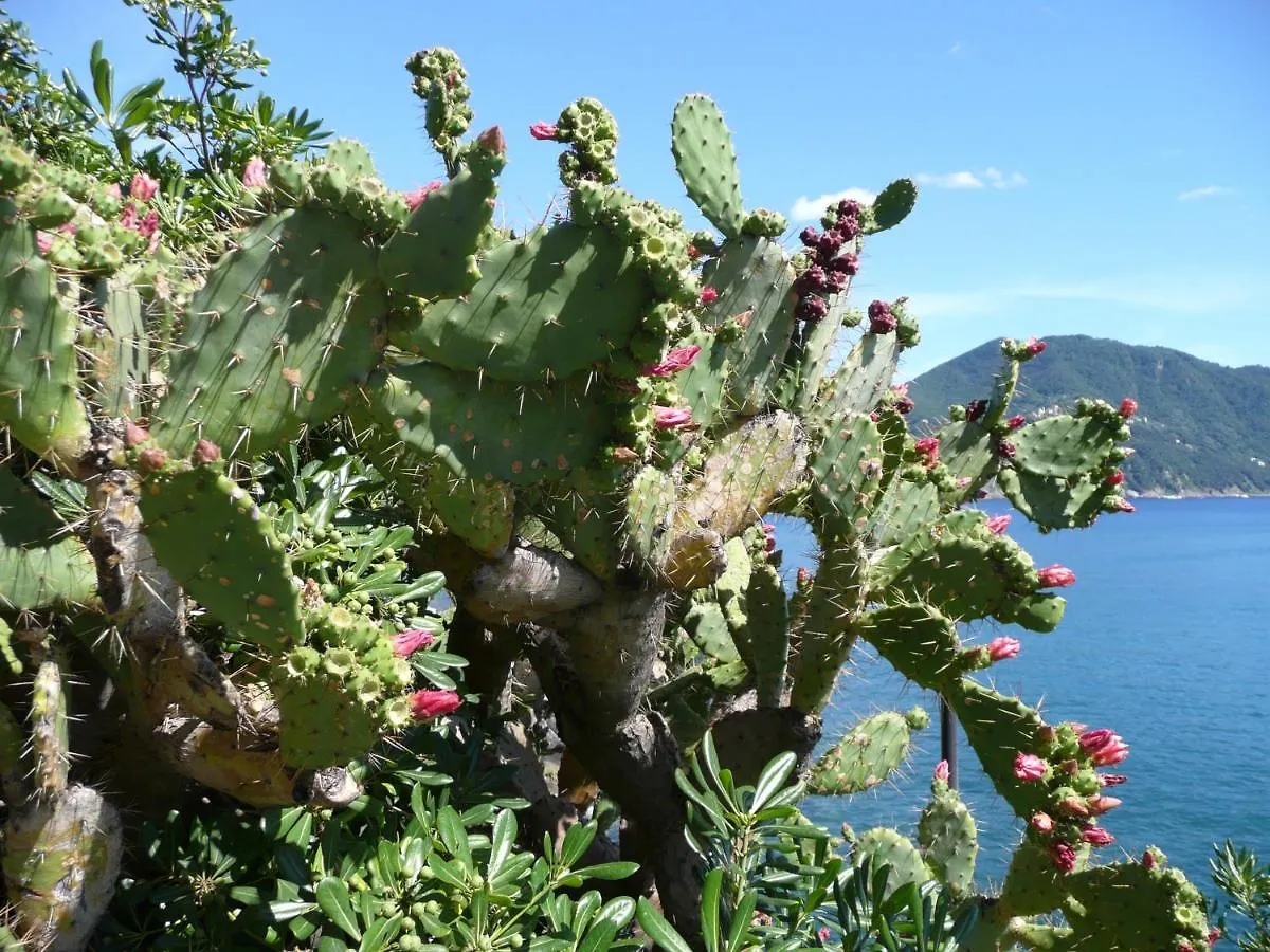 Villa Cielomare Camogli