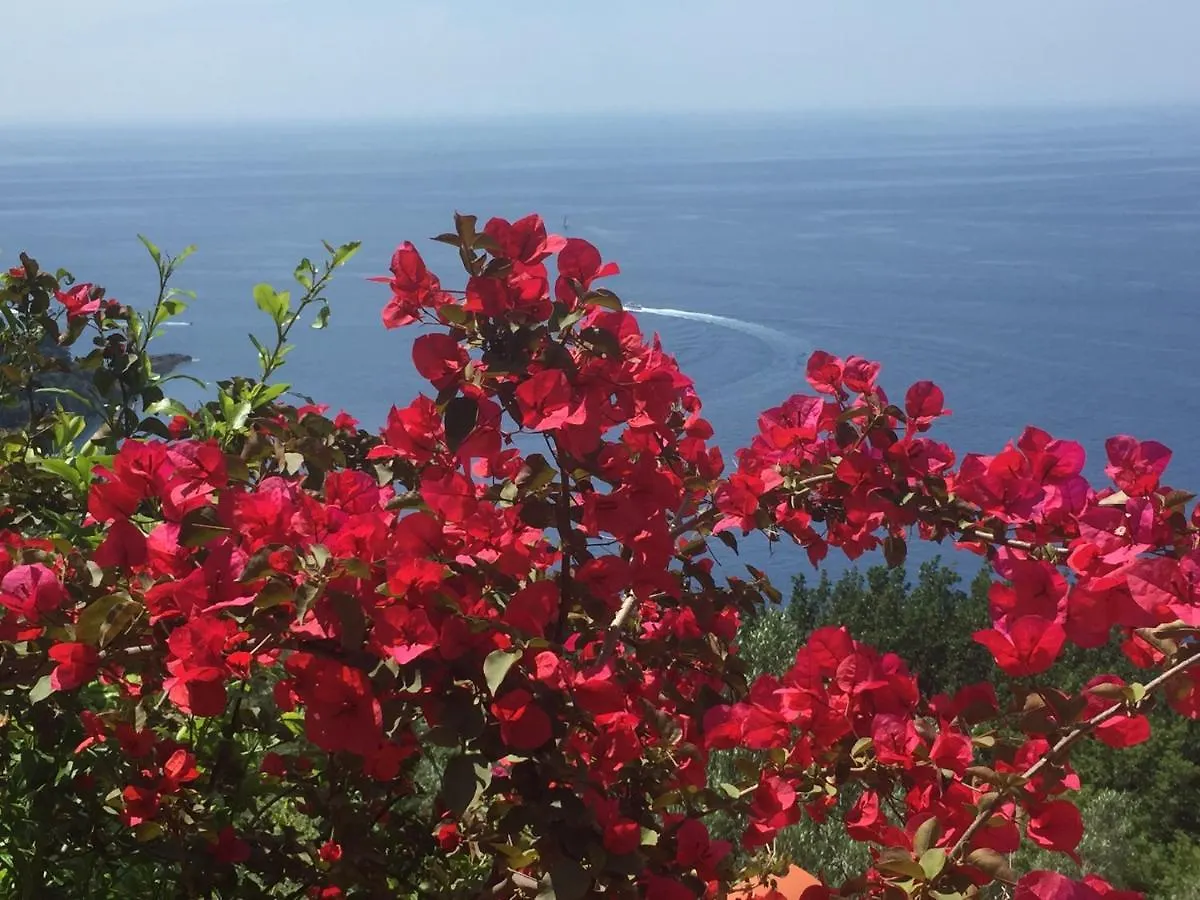 Villa Cielomare Camogli