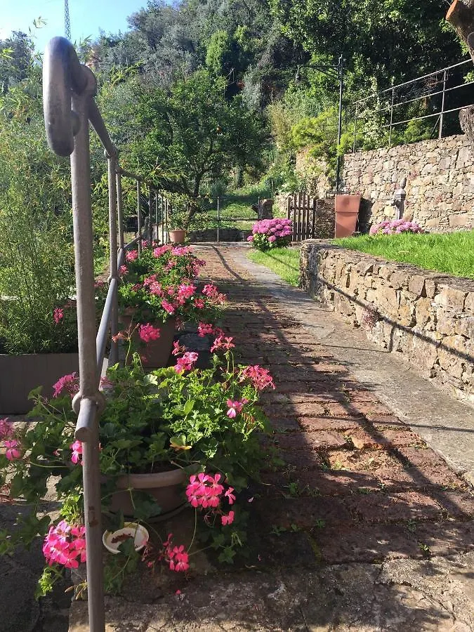 Villa Cielomare Camogli